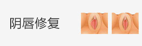 阴唇修复